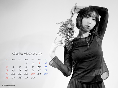 【カレンダー風壁紙：November2023】 Wallpaper （PC1600）